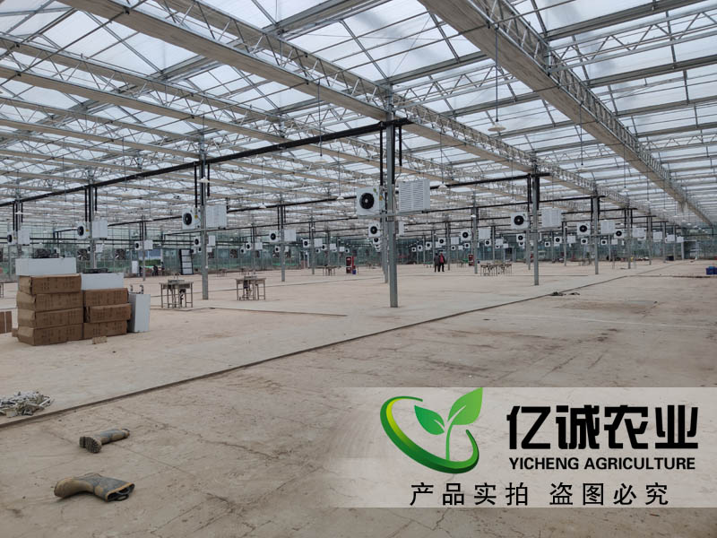 農(nóng)業(yè)陽(yáng)光板溫室大棚對(duì)陽(yáng)光板有哪些條件要求？
